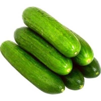 Семена огурца партенокарпического Пис F1 (45 дня) (100 с) Lark Seeds